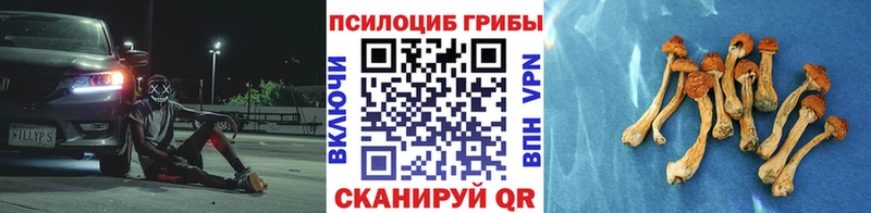 Галлюциногенные грибы ЛСД  Дно 